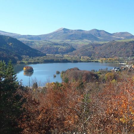 Villa Les Chenets à Chambon-sur-Lac Extérieur photo