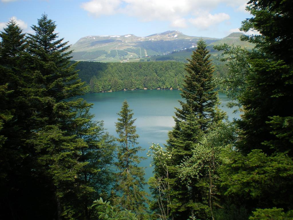 Villa Les Chenets à Chambon-sur-Lac Extérieur photo